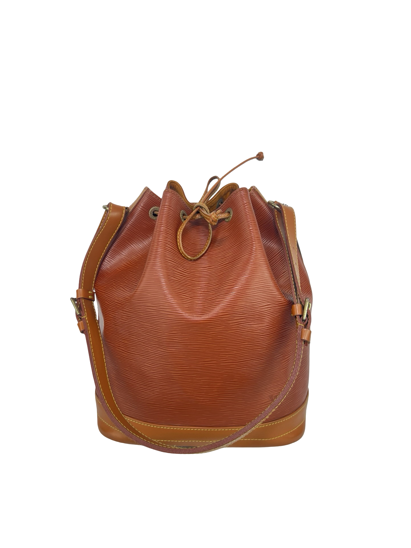 Louis Vuitton Noé Epi Grande Two Tone