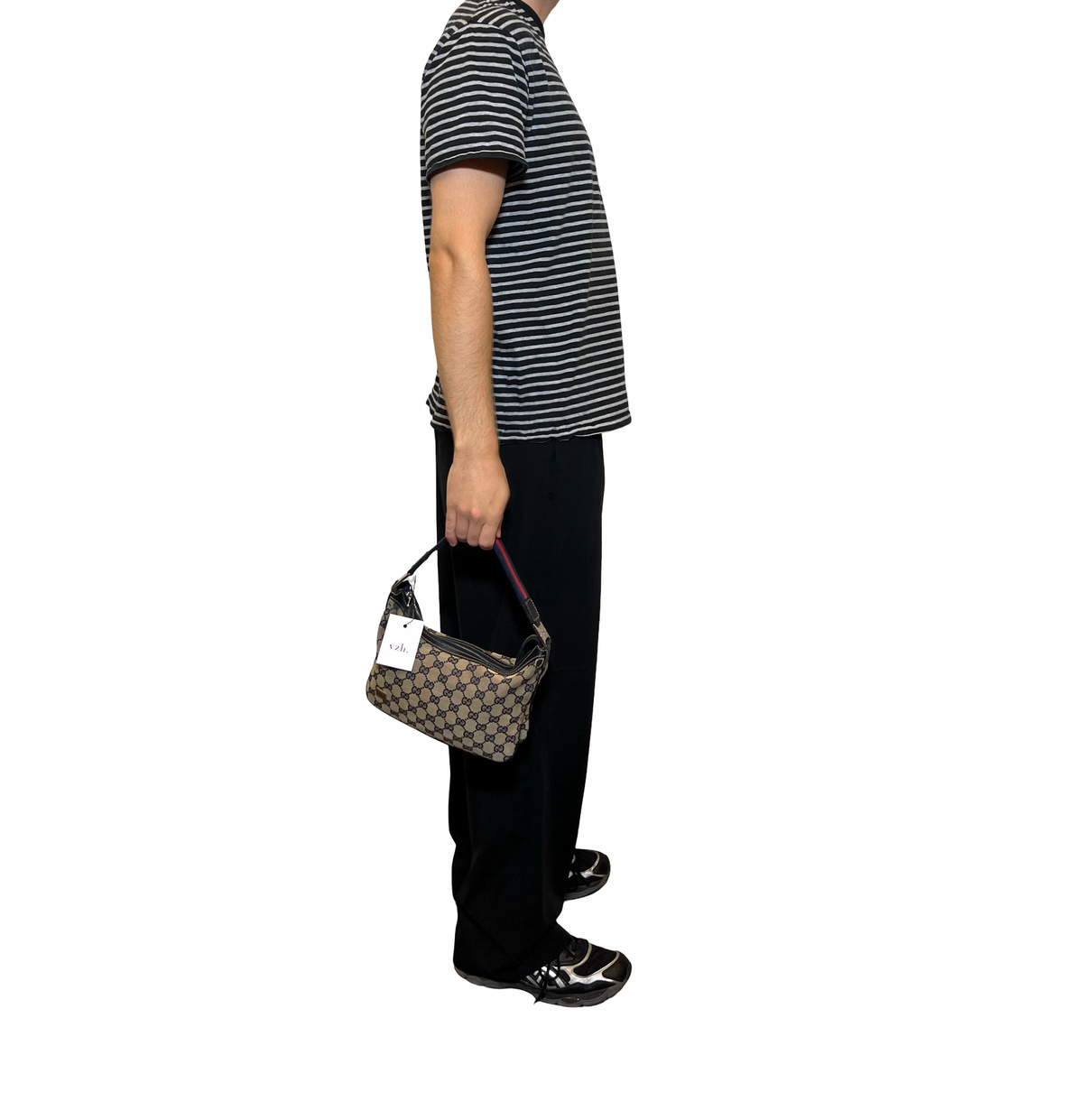 Gucci Canvas Pop Web Hobo Bag