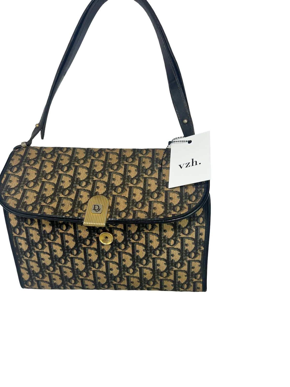 Dior Monogram Shoulder Bag (disclaimer)