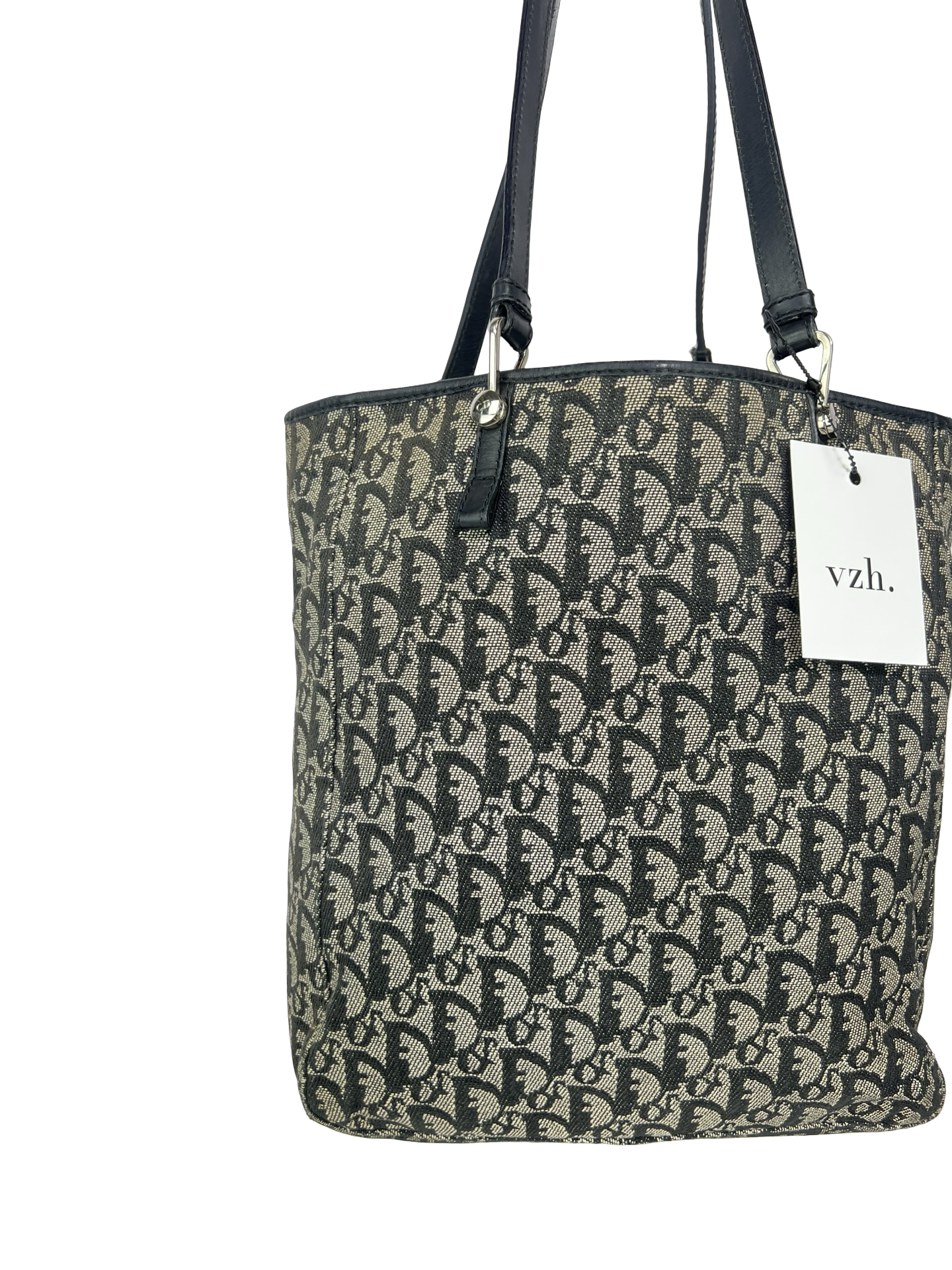 Dior Book Tote Bag
