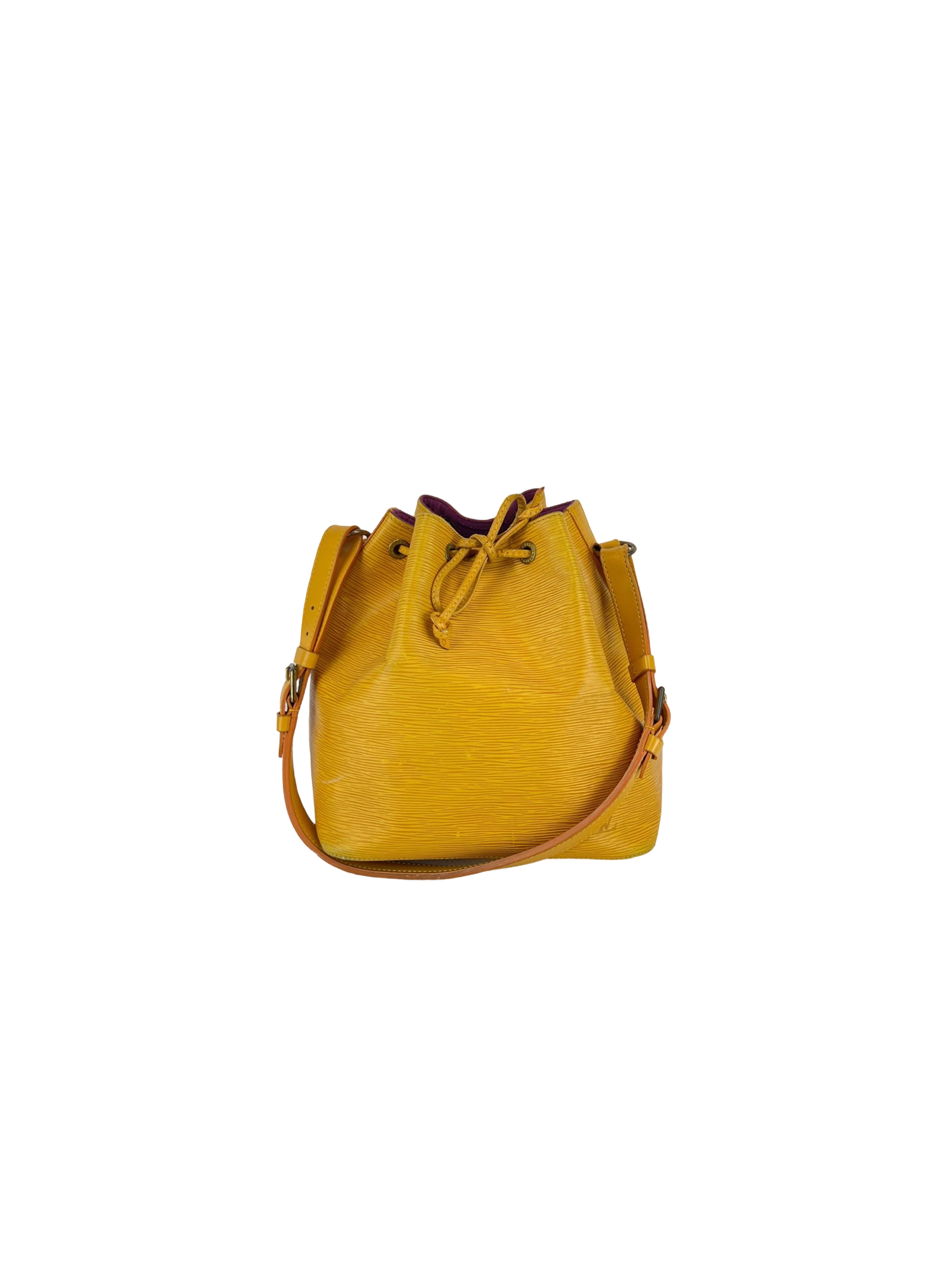 Louis Vuitton Noé Epi Petit