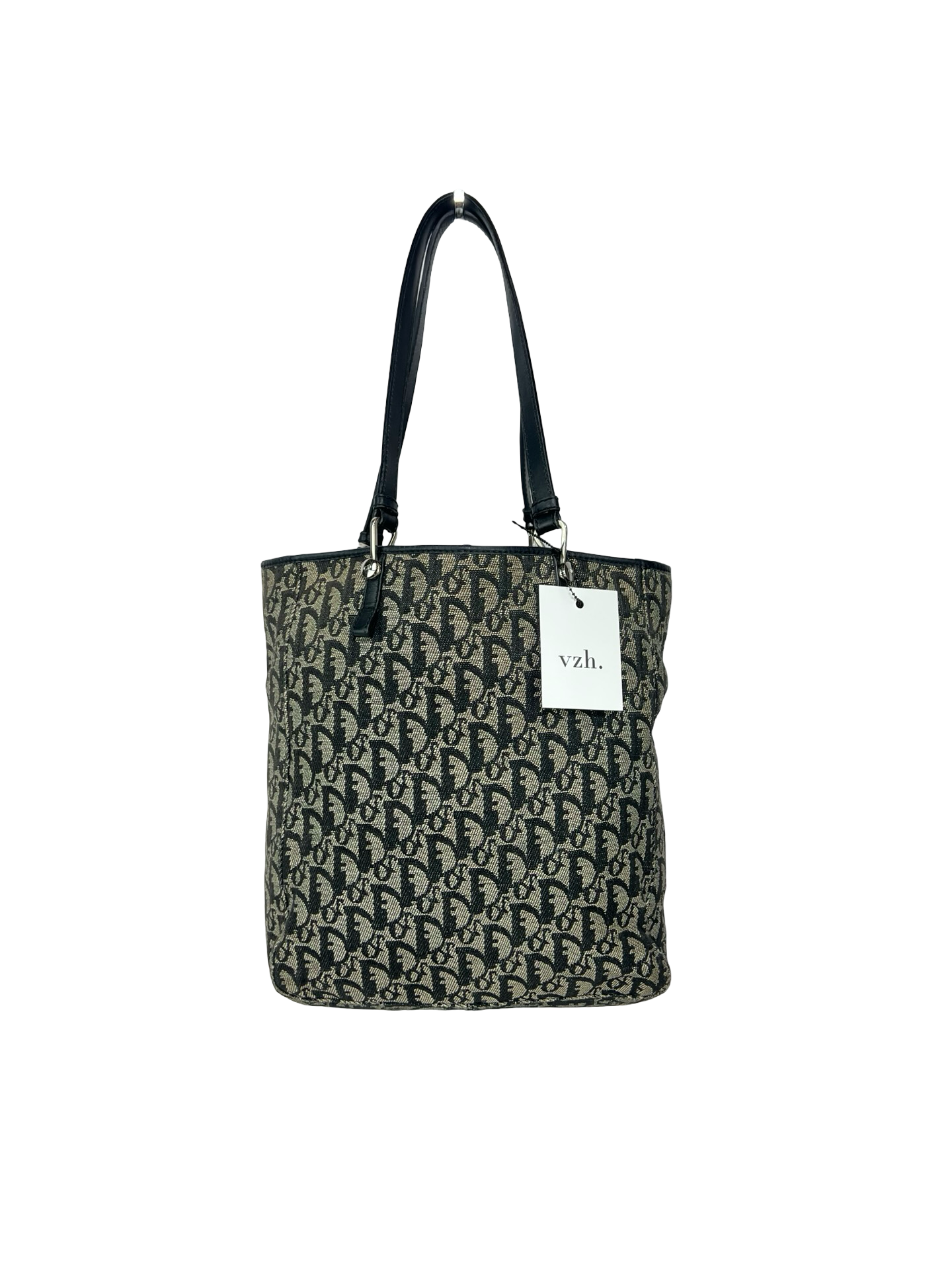 Dior Book Tote Bag